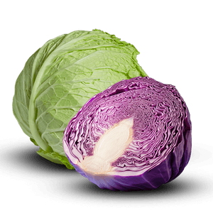 Cabbage